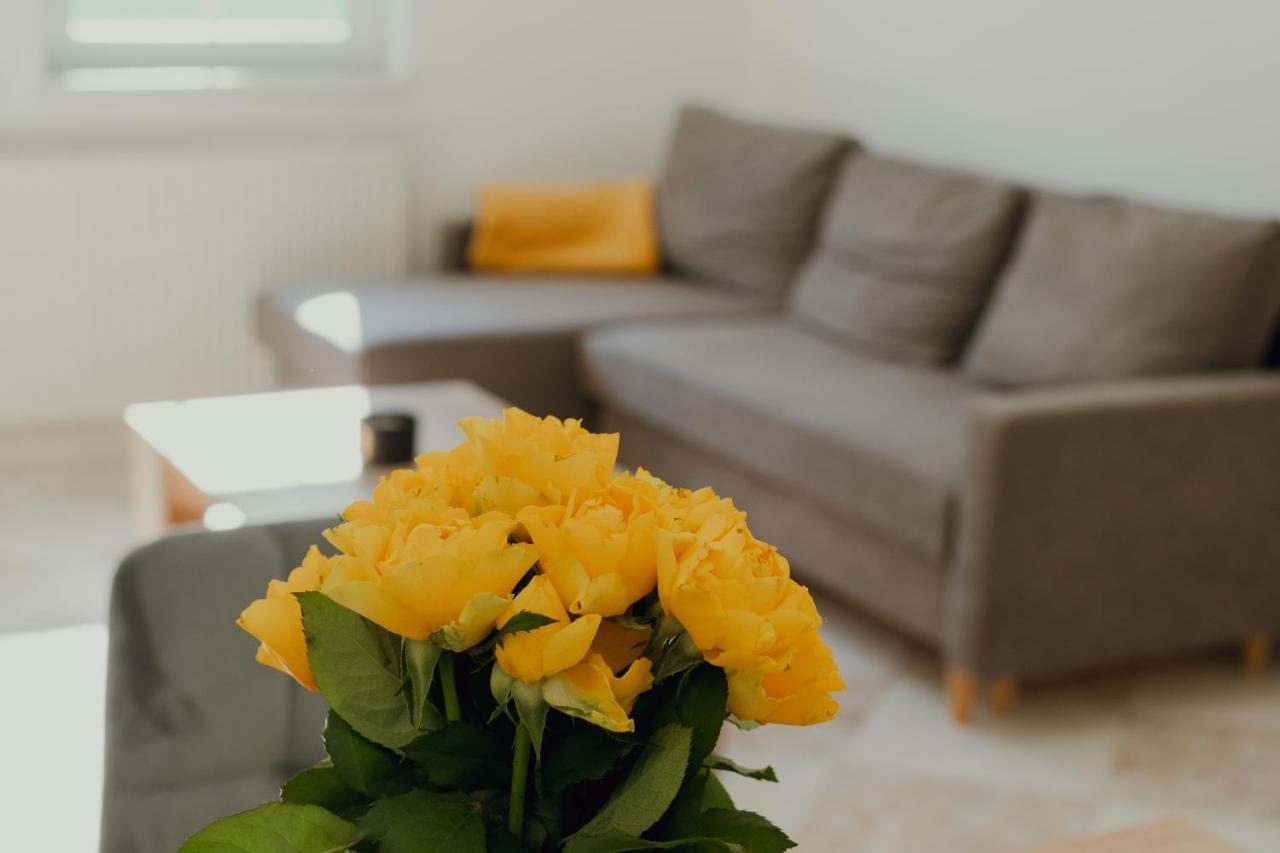 Apartman Emily Brezno Extérieur photo
